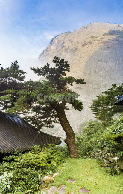 마이산,은수사,명승,도립공원,소나무,사찰,풍경,자연