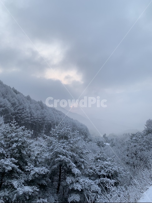 겨울,눈,풍경,자연,스키장,겨울,계절,winter,season