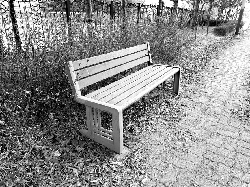furniture,가구,bench,벤치,고독,겨울,낙옆,시련,퇵근길,흑백,모노톤,monochrome,black and white