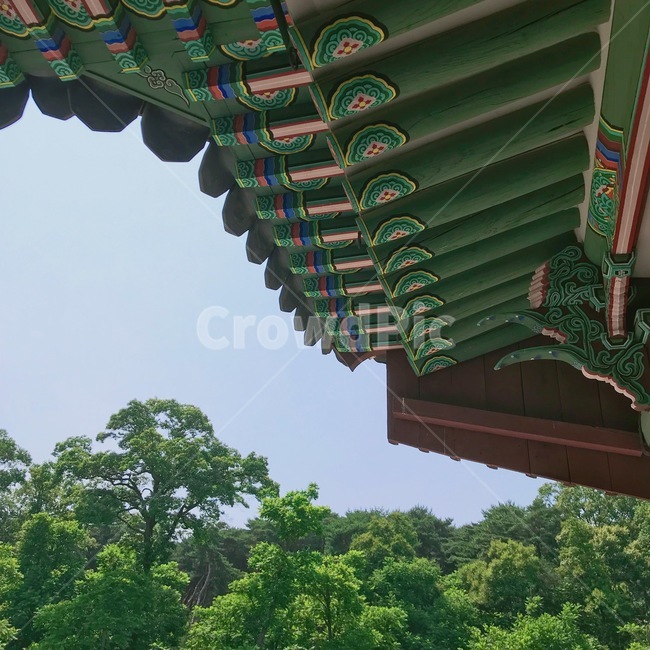 한옥,기와,처마,수원화성,문화재