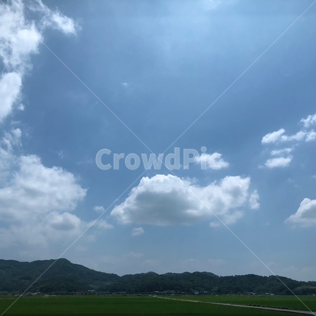 시골,구름,초원,논,시골풍경