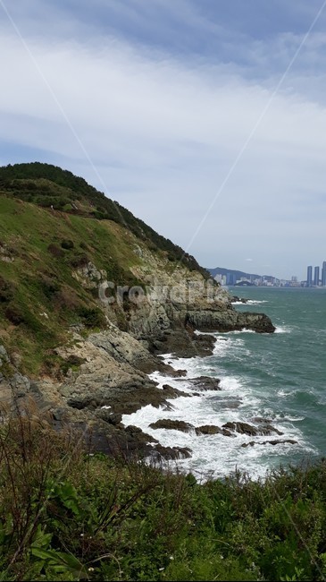 nature,자연,낭떠러지,cliff,부산,전망대,파도,가을,바다,동산,공원,busan,view,sea,mountine,하늘,sky,blue,숲,풀