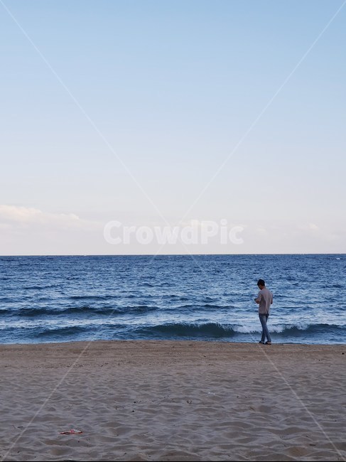 바다,자연,대양,해변,물