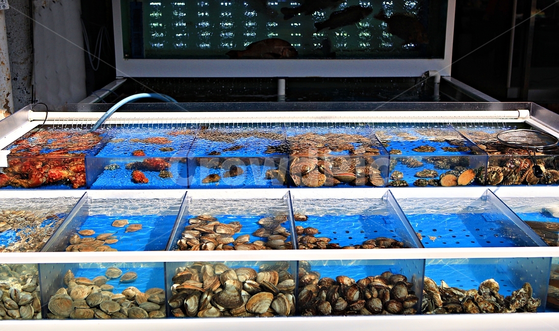 조개,어항,조개구이,구이,먹거리,자연,풍경,배경,시장,마트,마켓,market,mart,market place,음식,식재료,요리,food,cook,meal,dishes,food reserves,수산물,해산물,fishery products,seafood