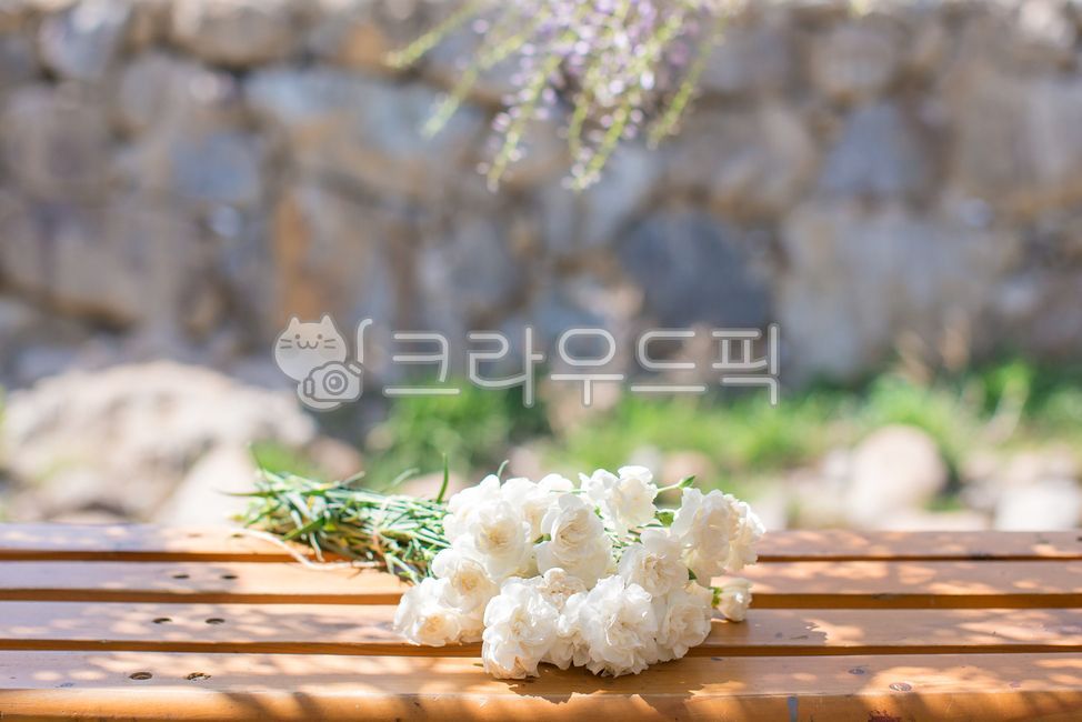 plant,식물,흰카네이션,하얀꽃,하얀꽃다발,꽃다발,부케,햇살,flower,blossom,꽃,wildflowers,bouquet,white,whiteflower,꽃,flower