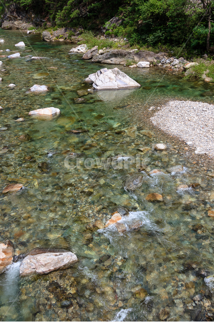 시냇물,강원도,여름,돌,환경,숲,물줄기,풍경,물,여름,계절,summer,season,자연,풍경,nature,landscape,rubble,파편,water