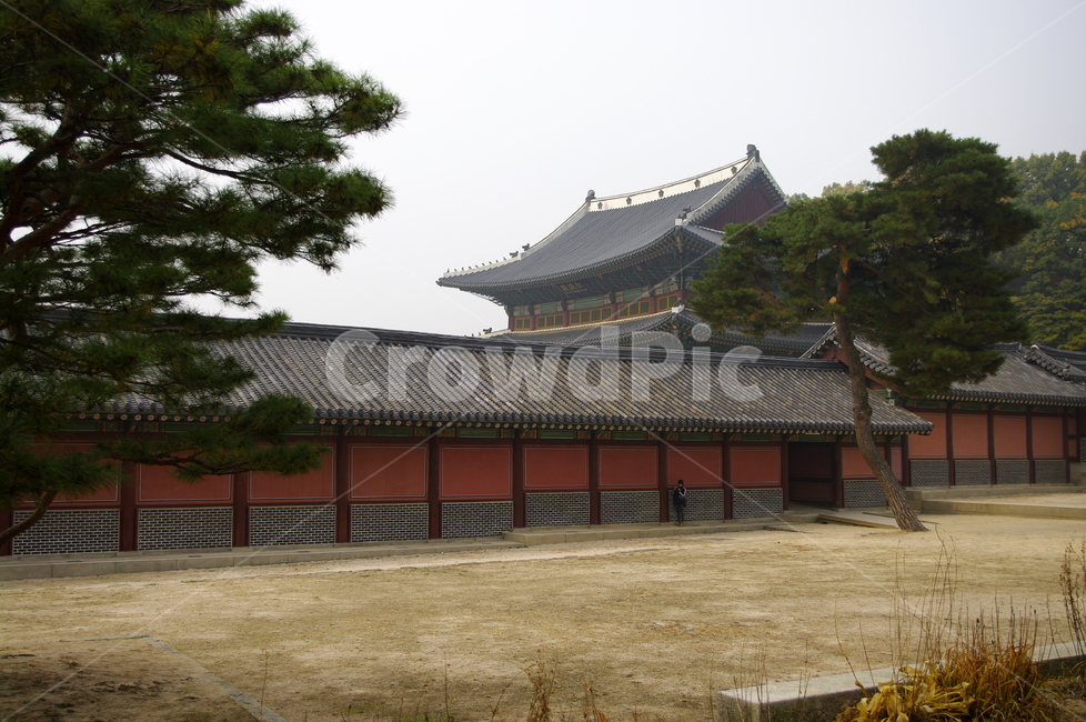 창덕궁,고궁,건축,전통건축,traditional,전통,기와지붕,전각,한국전통,한국문화,korean traditional,korean culture,랜드마크,landmark,tourist attraction,한국랜드마크,한국관광지,한국명소,korea landmark,korea tourist attraction,건축물,건물외관,exterior,building,structure,architecture,construction