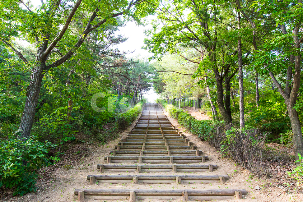 공원,산책,유원지,숲,휴식