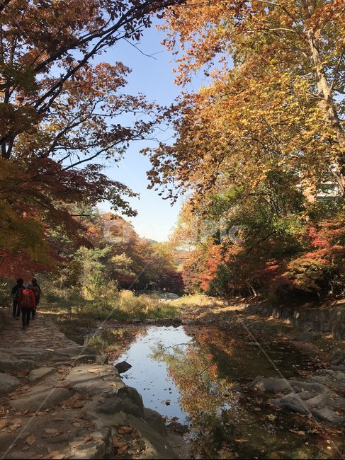 가을,날씨,단풍,풍경,낙엽,환경,서울,한국,등산