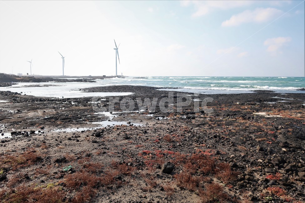 제주,풍차,풍력,발전,바닷가,풍경,해변,해안,에메랄드,해상풍력