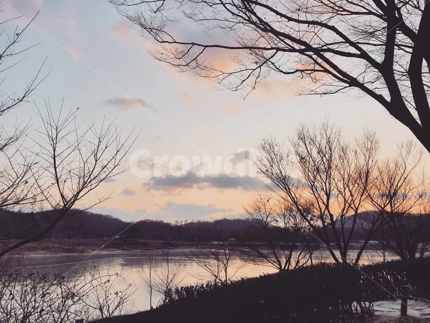공원,호수,저녁,선셋,노을