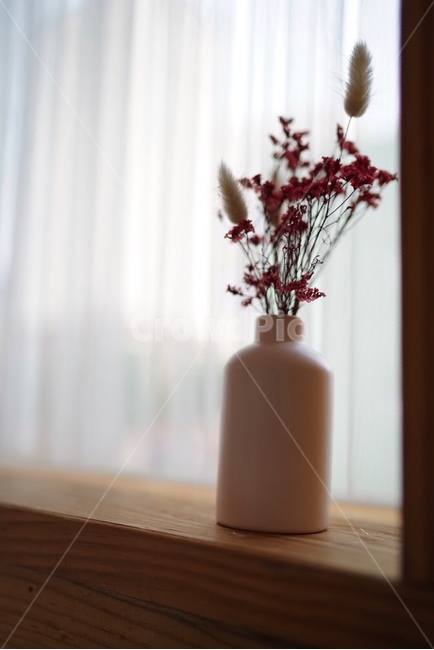식물,휴식,느낌,분위기,카페,인테리어,감성,창문,꽃,힐링,식물,자연,plants,nature,꽃,flower