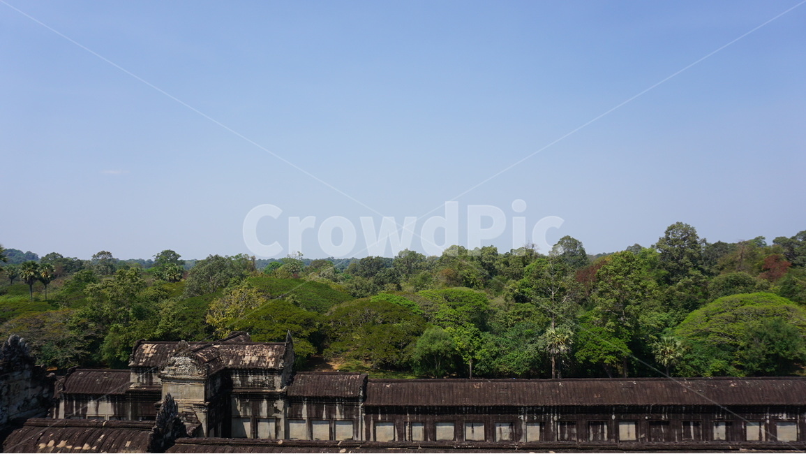 앙코르와트,숲,캄보디아,풍경,나무,관광지,랜드마크,landmark,tourist attraction,해외,외국,세계,foreign,oversea,world,세계랜드마크,해외랜드마크,외국랜드마크,world landmark,world tourist attraction,건축물,건물외관,exterior,building,structure,architecture,construction,roof,지붕