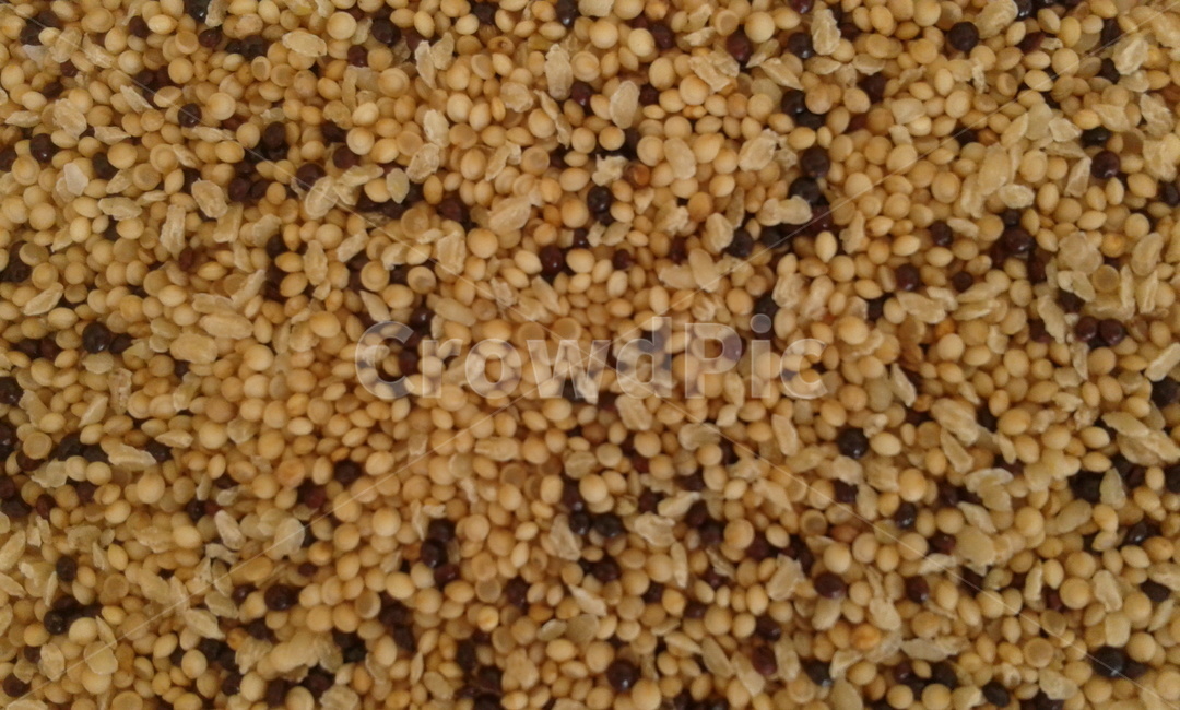 현미쌀눈,곡식,현미,쌀눈,food,곡류,곡식,cereals