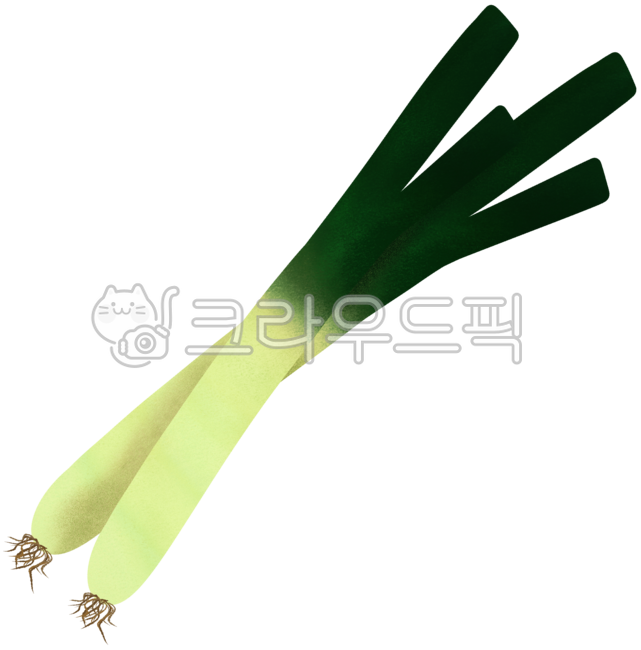 food, 음식, vegetable, 채소, 대파, 사진,이미지,일러스트,캘리그라피 - jsjs3245작가