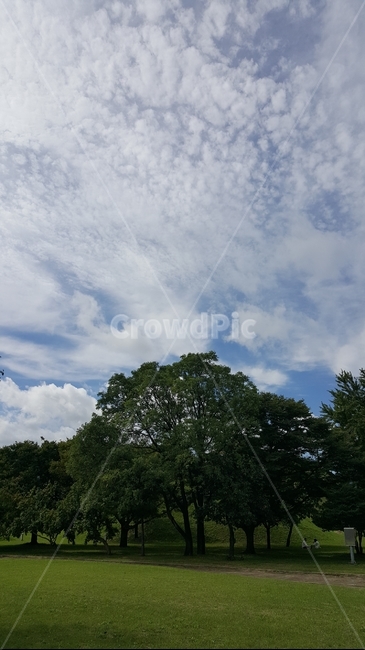 나무,하늘,초록색,구름,풍경,자연,풍경,nature,landscape,outdoors,옥외,weather,날씨,cumulus,적운,cloud,sky