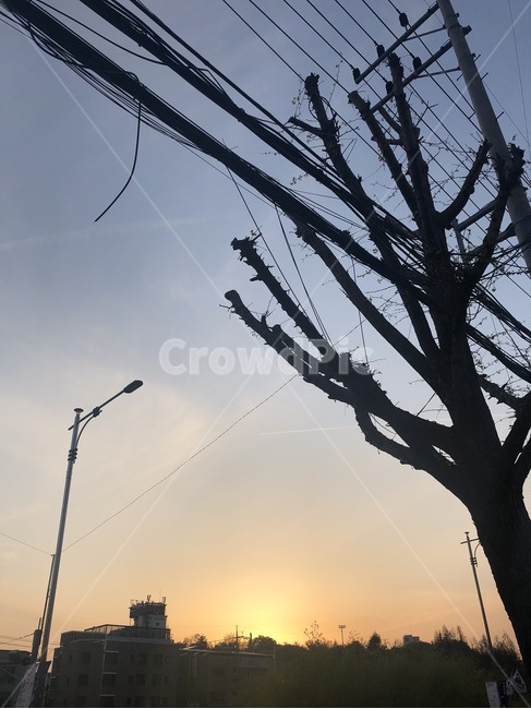 하늘,구름,태양,sky,cloud,나무,전깃줄