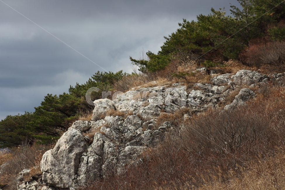 산,바위,재약산,가을,rock,영남알프스,자연,풍경,nature,landscape,한국자연풍경,한국자연경관,korea nature landscape,plant,식물,tree,나무