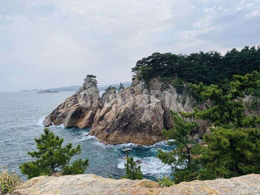 소나무,바다,풍경,속초,바위,자연,풍경,nature,landscape,한국자연풍경,한국자연경관,korea nature landscape,promontory,곶,outdoors,옥외,land,땅,water,물,sea,ocean,대양