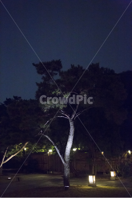 우리나라,한국적인,문화재,자연,전통,야경,불빛,아경