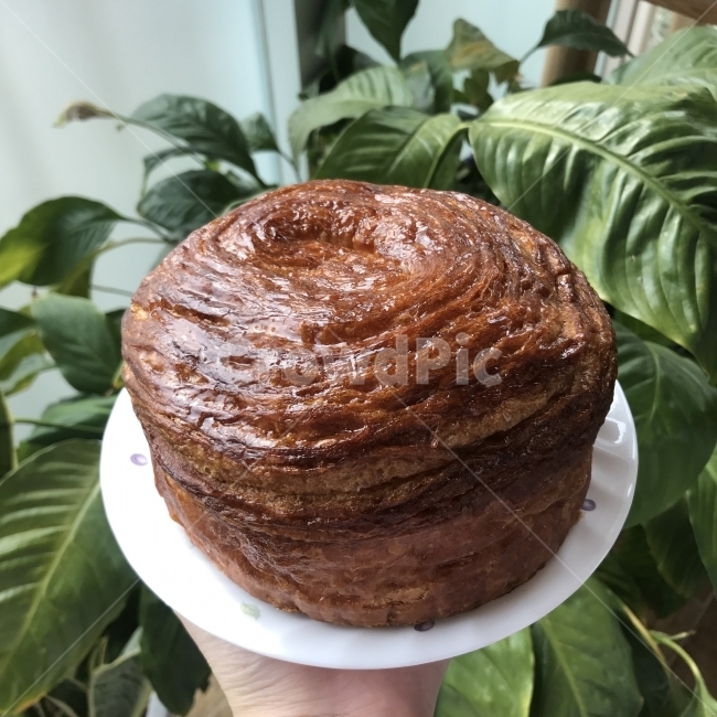 빵,베이커리,몽블랑,빵집,브런치,간식,음식,식재료,요리,food,cook,meal,dishes,food reserves,빵,bread,디저트,간식,후식,dessert,snack