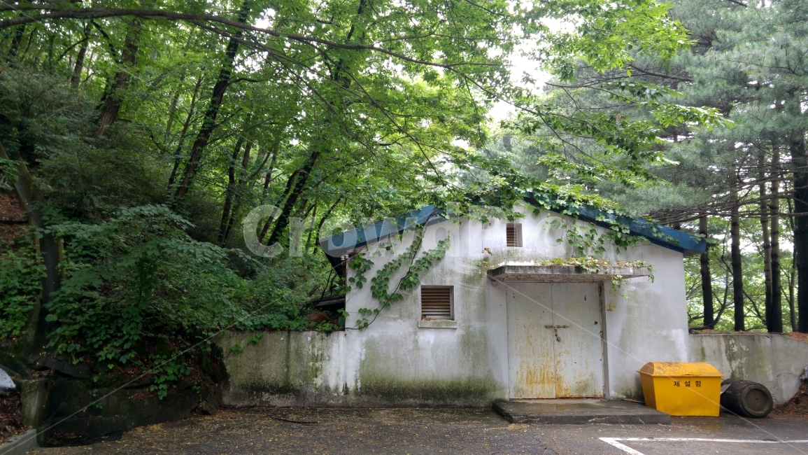 폐건물,여름건물,여름,폐공장,오래된,자연,풍경,nature,landscape,건축물,건물외관,exterior,building,structure,architecture,construction,outdoors,옥외,건물,housing,주택,cottage,시골집,house,집