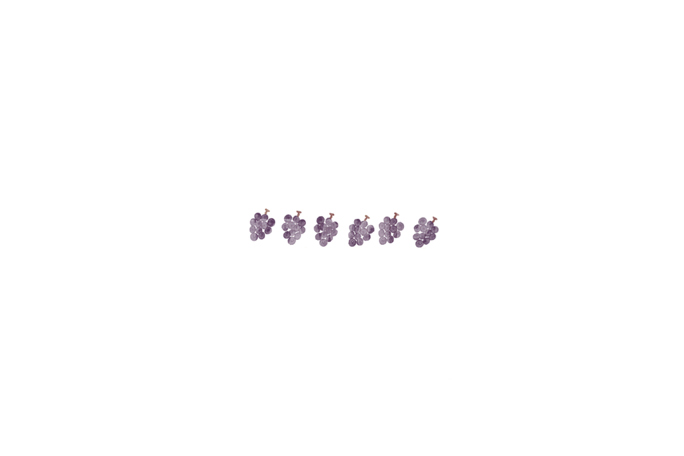 프레임,스템프,손그림,포도,과일,스티커,누끼,remove background