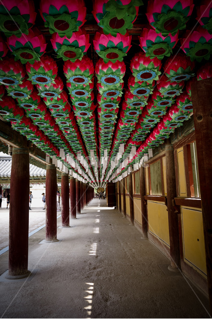 한국전통,절,연등,사찰,길,emotional,sensible,한국전통,한국문화,korean traditional,korean culture,종교,신앙,religion,belief,faith