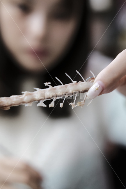 생선,가시,생선가시,생선구이,생선뼈