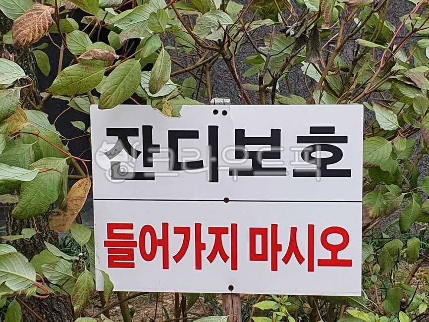 Dont go in,sign,watchword,lawn protection,Lawn protection information board