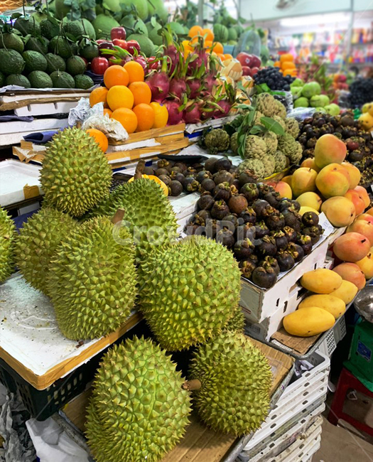 plant,식물,food,fruit,과일,produce,두리안,애플망고,과일,열매,fruit