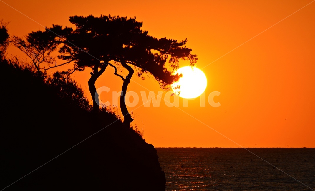 전북,부안,변산,솔섬,임몰,용,용의입,황금노을,nature,자연,outdoors,옥외,sky,하늘,해를삼키다,자연,풍경,nature,landscape,한국자연풍경,한국자연경관,korea nature landscape