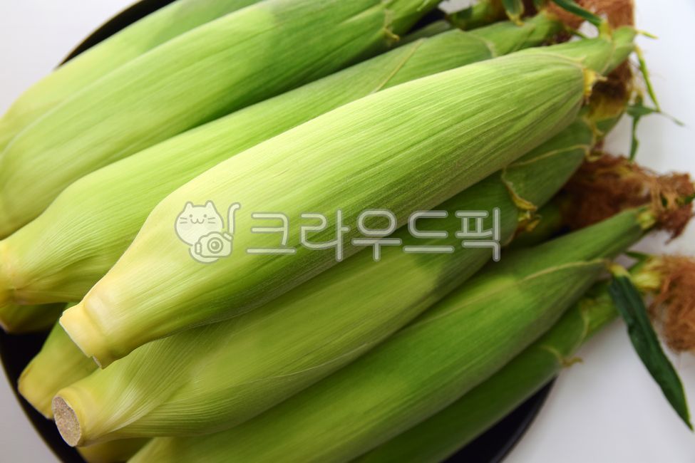 raw corn,corn,Chodang Corn,skin,cone,corn stubble,food,grains,outer shell,corner,white corn,corn husk,Food Ingredients,ingredients,grain