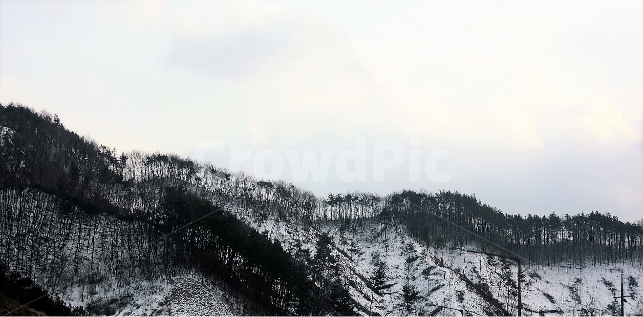 설경,산,겨울,정경,산맥,겨울,계절,winter,season,자연,풍경,nature,landscape,tree,나무,plant,식물,fir,전나무