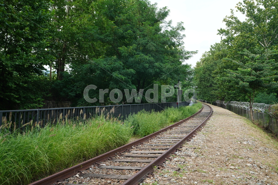 철길,레일,rail,길,철,기찻길,교통,transportation