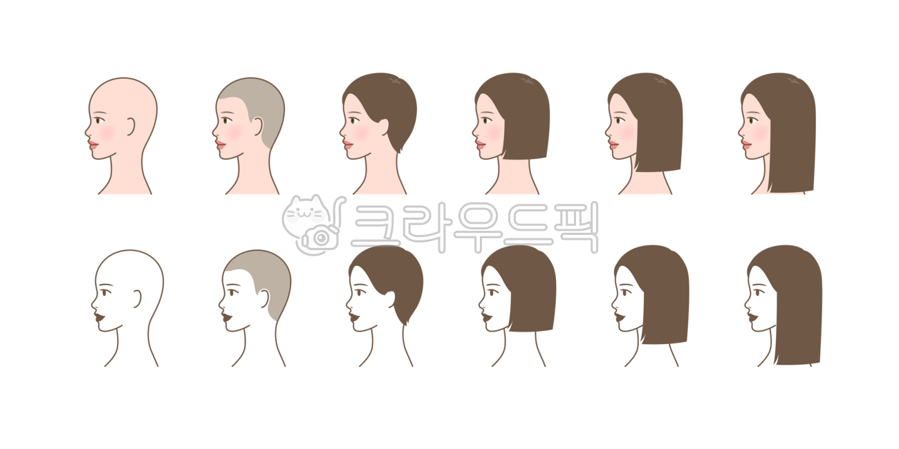 beauty,line,icon,Line illustration,Short hair,long,shot,head,beautiful,hair,character,bald head,middle step,female,graphic,raising,pretty,side,long hair,Character,change,profile,length,procedure,face,person,cultivate,short,illustration