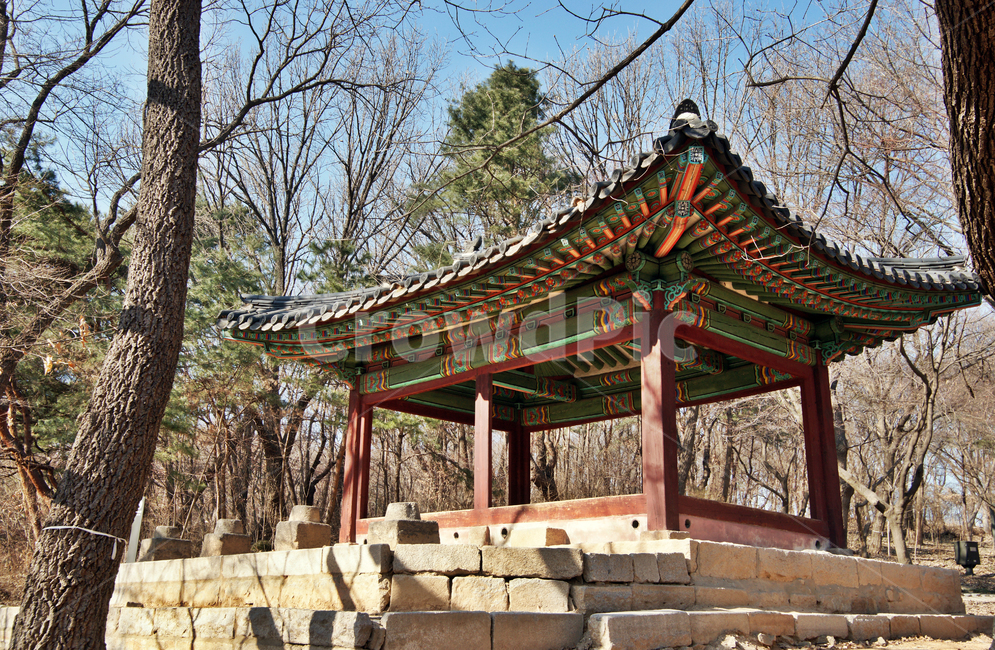 함인정,누각,정자,접견,창경궁,궁궐,조선시대,고건축,한국전통,한국문화,korean traditional,korean culture,랜드마크,landmark,tourist attraction,한국랜드마크,한국관광지,한국명소,korea landmark,korea tourist attraction,건축물,건물외관,exterior,building,structure,architecture,construction
