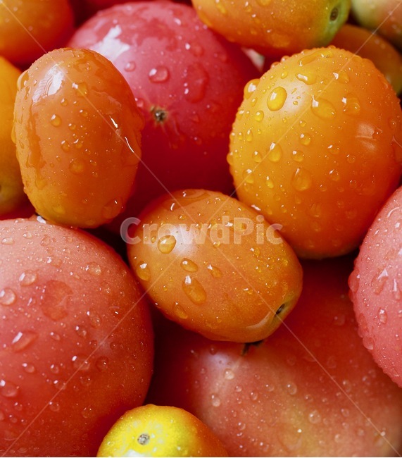 Cherry tomato,verdure,tomato,organic vegetables,vegetable,Orange,Organic Cherry Tomatoes,food,red,water drop,fresh vegetables,organic tomatoes,vegetarian food