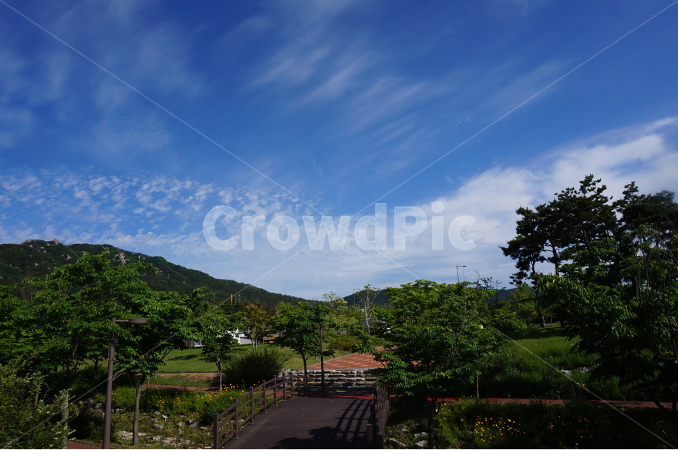 나무,파랑하늘,봄,맑음,풍경,자연,자연,풍경,nature,landscape,한국자연풍경,한국자연경관,korea nature landscape,outdoors,옥외