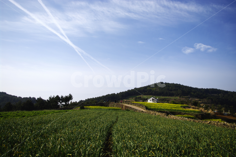 하늘,구름,풍경,마을,산,밭,시골,청산도,계절,봄,spring,봄,계절,spring,season,자연,풍경,nature,landscape,한국자연풍경,한국자연경관,korea nature landscape,field,들,outdoors,옥외,grassland,목초지