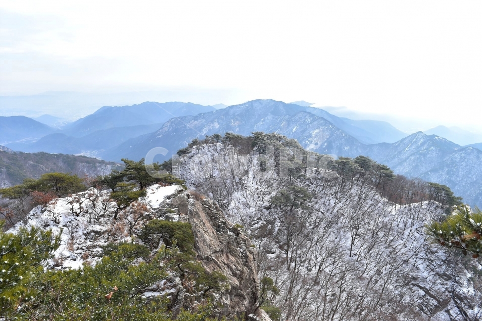 계룡산,국립공원,겨울,풍경,설경,산행,Korea,Nationa,Park,눈풍경,눈,자연,스포츠,등산,nature,snow,느낌,아름다운,신비로운,경이로운,다큐,필,힐링,명산landscape,winter,season,자연성릉,암릉,능선,비경,겨울,계절,winter,season,자연,풍경,nature,landscape,한국자연풍경,한국자연경관,korea nature landscape,slope,경사,outdoors,옥외,mountain range,산맥,mountain,산