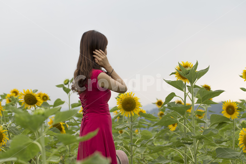 nature,pose,yellow,back,flower garden,sunflower,flower,outdoor,plant,sight,female