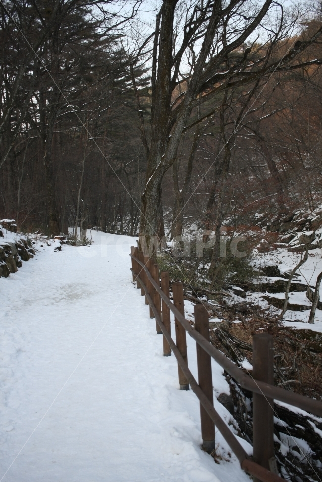 겨울,눈길,산책,산길,눈,눈밭,겨울,계절,winter,season,자연,풍경,nature,landscape,한국자연풍경,한국자연경관,korea nature landscape,handrail,난간,banister