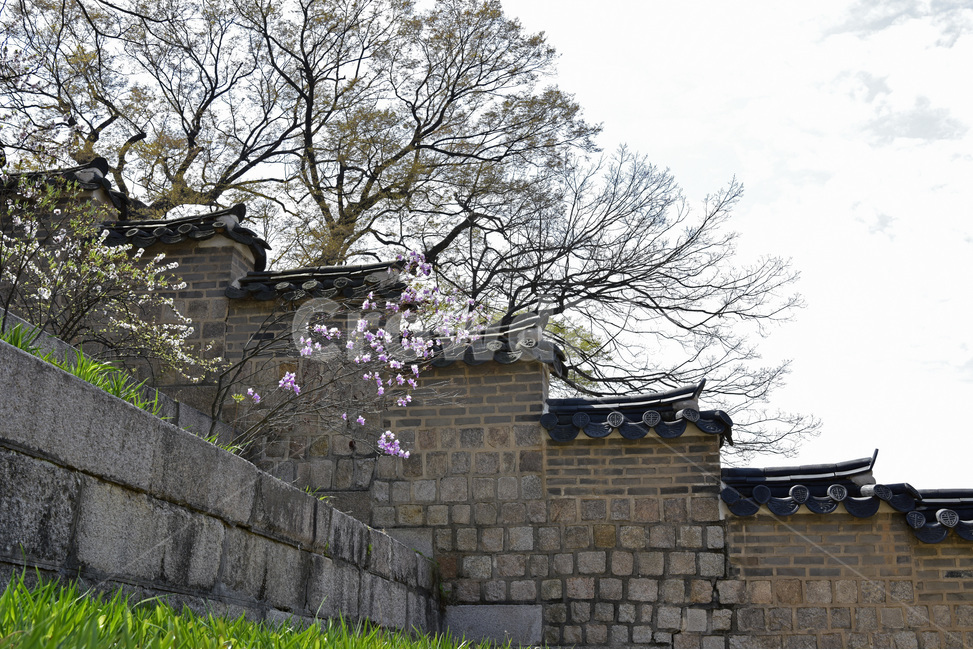 창덕궁,changdeokgungpalacecomplex,궁궐,문화유산,세계유산,한옥,이궁,동궐,단청,한국전통,한국문화,korean traditional,korean culture,건축물,건물외관,exterior,building,structure,architecture,construction