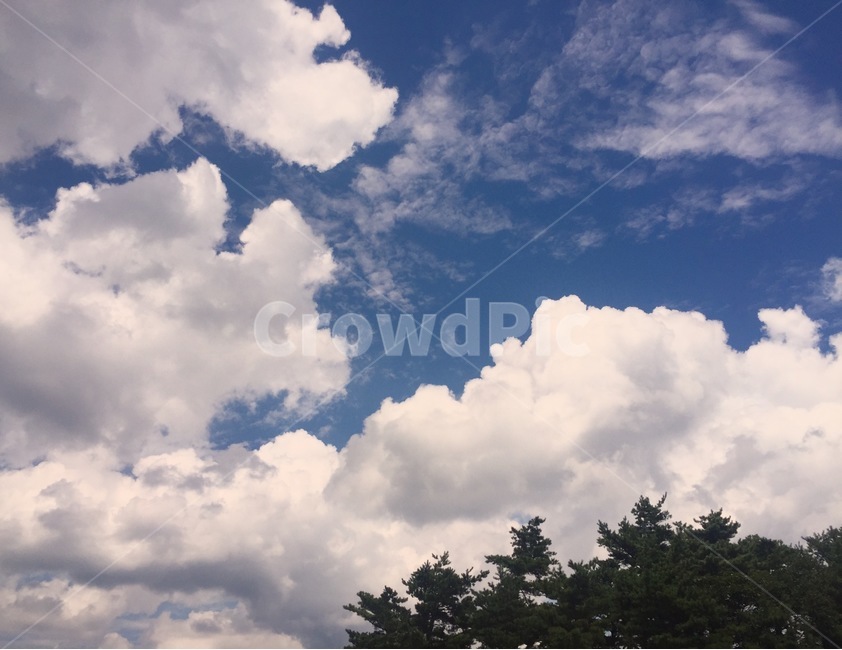구름,하늘,나무,소나무,바람,봄,자연,날씨,푸른,휴식,감성,힐링,솜사탕,뭉게구름,계절,여름,가을,소풍,나들이,자연,풍경,nature,landscape,outdoors,옥외,azure sky,푸른 하늘,sky