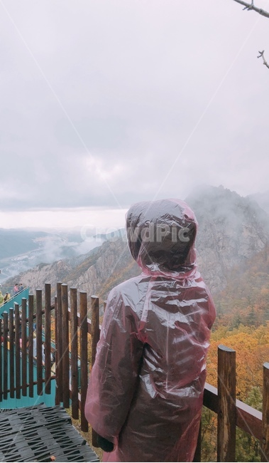 우비,뒷모습,비,산,안개,먹구름,사람,인물,인간,human,person