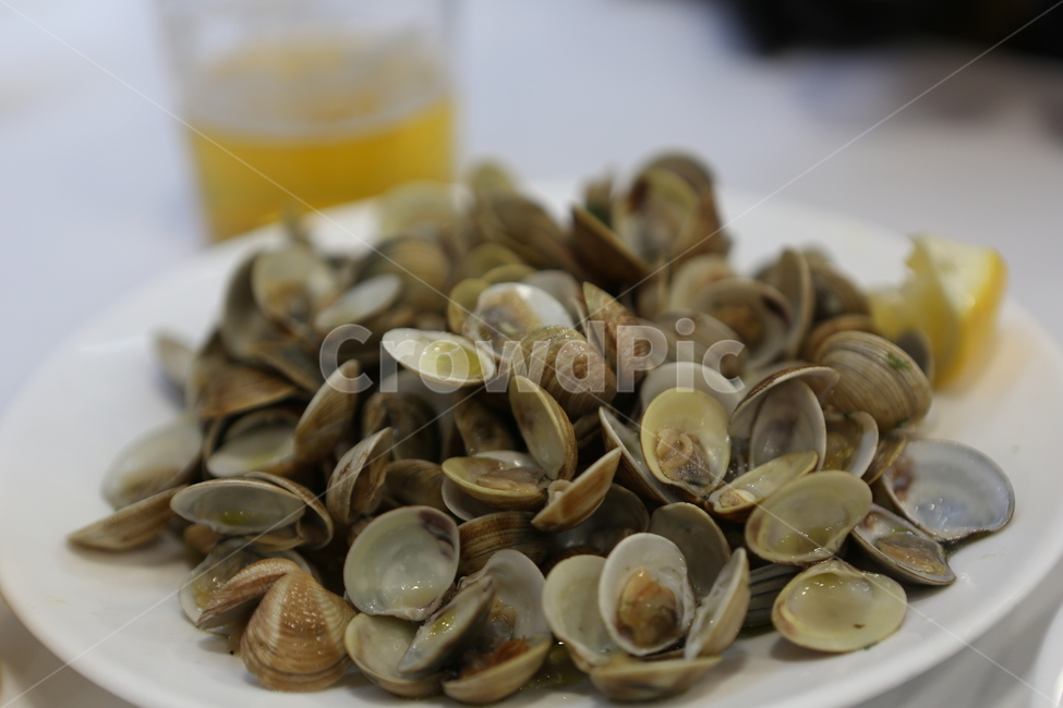 안주,맥주,조개,바지락,요리,clam,cook,cuisine,beer,tapas,snack,타파스,술,alcohol