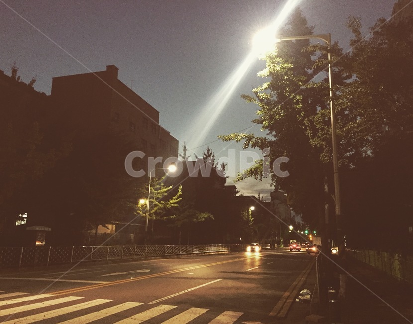 길거리,스트릿,풍경,자연,도로,신호등,밤거리,일상,감성,감성사진,필터효과,학교주변,학교,야경,밤,풍경,nightscape,night,landscape,asphalt,아스팔트,road,flare,플레어,light,빛