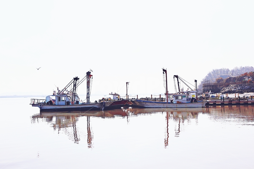 배,선박,풍경,자연,배경,강화,초지진,산업,industry,industrial,어업,fishery,fishing industry