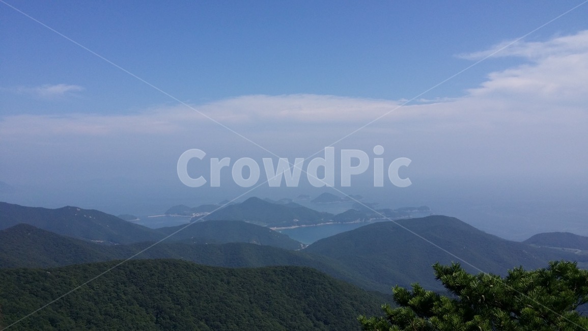 능선,산,정상,산림,소나무